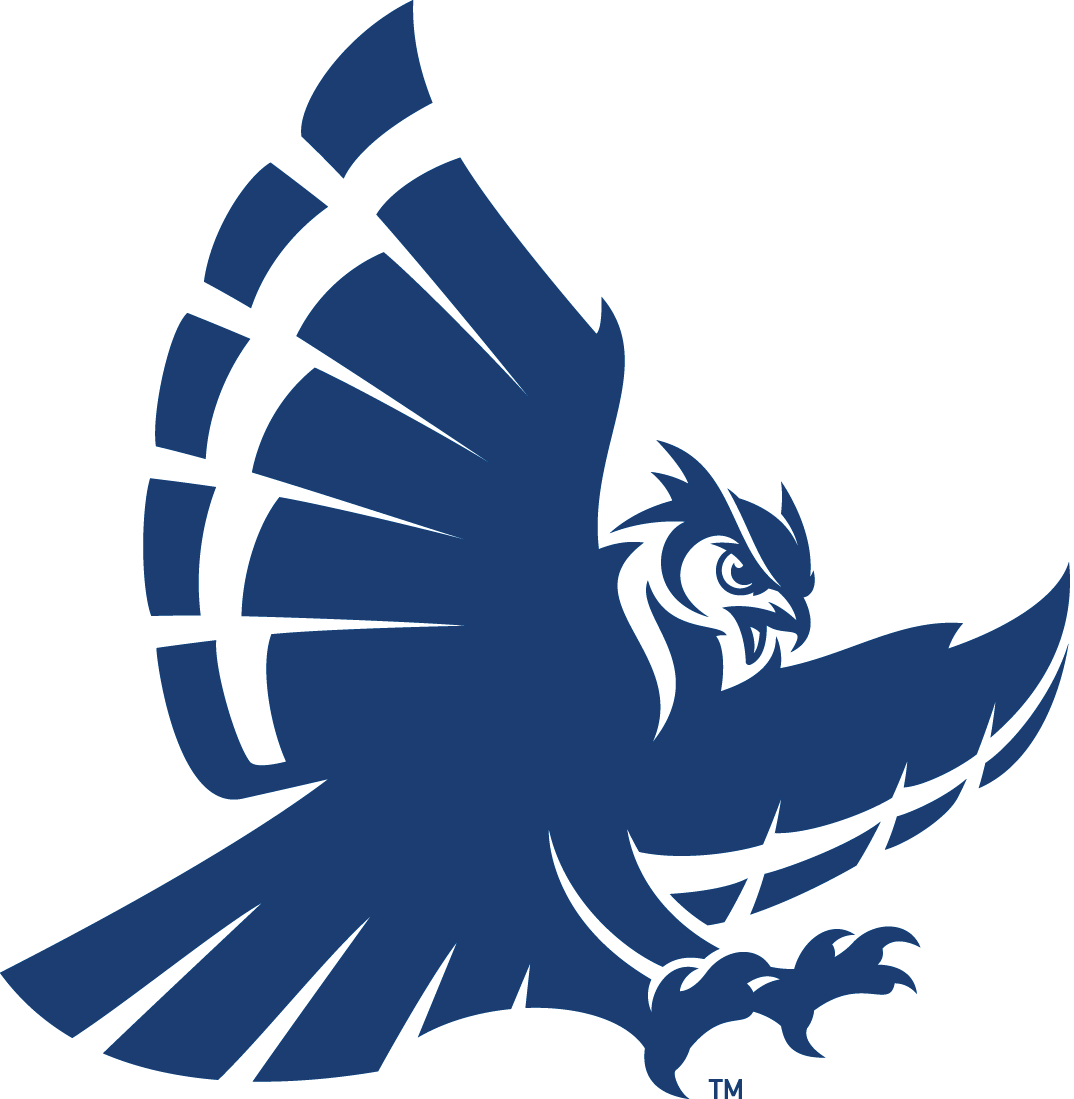 Rice Owls 2017-Pres Secondary Logo v2 diy DTF decal sticker